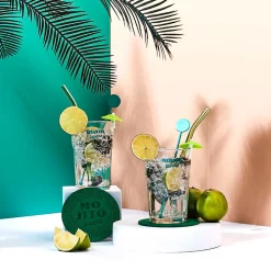 Coffret cocktail Mojito 10 pièces