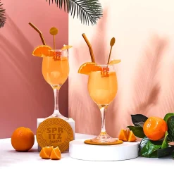 Coffret cocktail Spritz 10 pièces