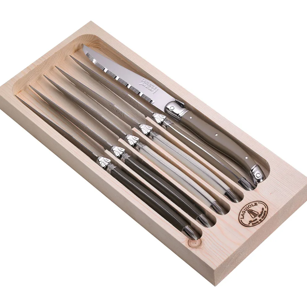 Coffret de 6 couteaux en acier inoxydable - Laguiole