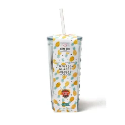 Infusion glacée ananas-coco mug 12 infusettes 24 g