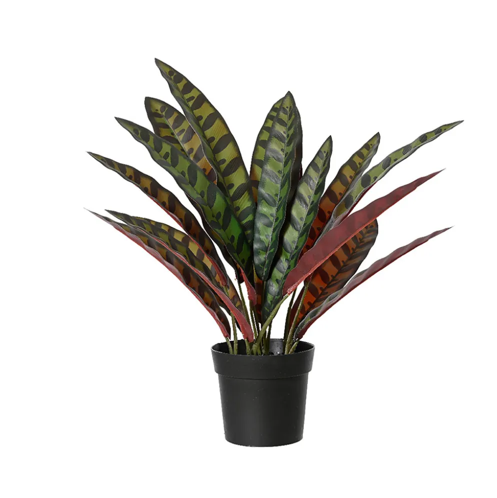 Plante artificielle Calathea avec pot h43cm