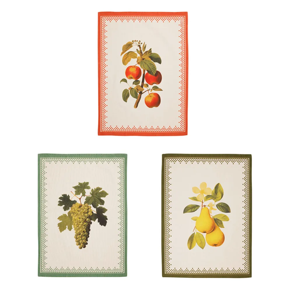 Torchons x3 en coton pommes, raisins, poires 50x70cm - Damoer