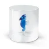 Verre à eau hippocampe bleu en verre borosilicate 25cl